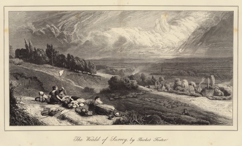 O Weald de Surrey de Myles Birket Foster