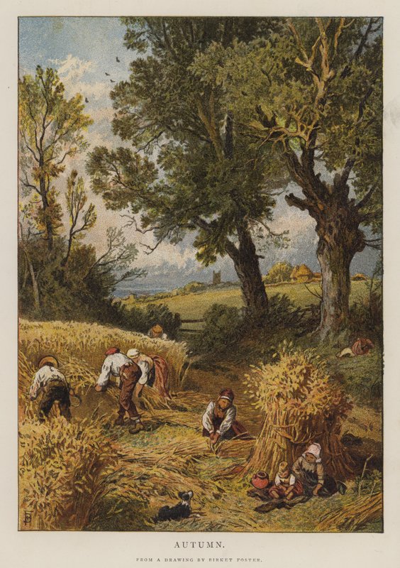Outono (cor litho) de Myles Birket (after) Foster