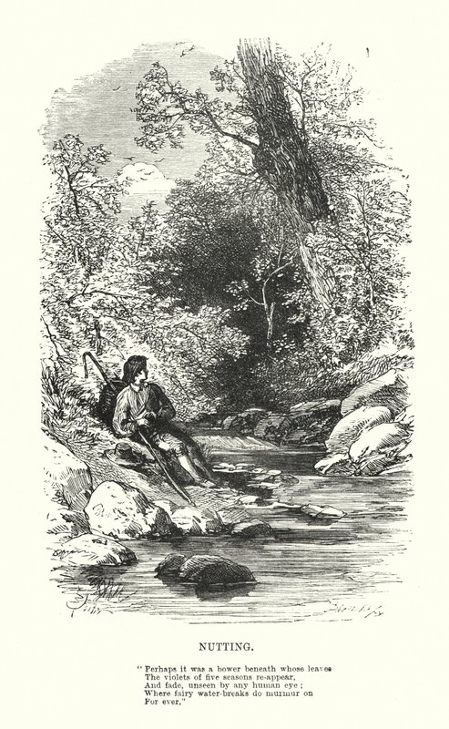 William Wordsworth: Corte (gravura) de Myles Birket (after) Foster