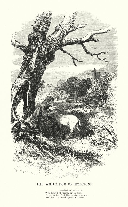 William Wordsworth: O Corço Branco de Rylstone (gravura) de Myles Birket (after) Foster