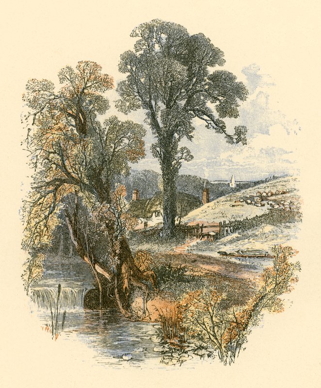 Belezas da natureza de Myles Birket Foster