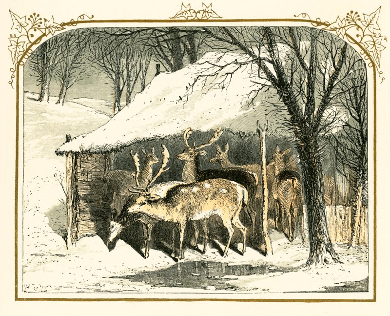 Veado na neve de Myles Birket Foster