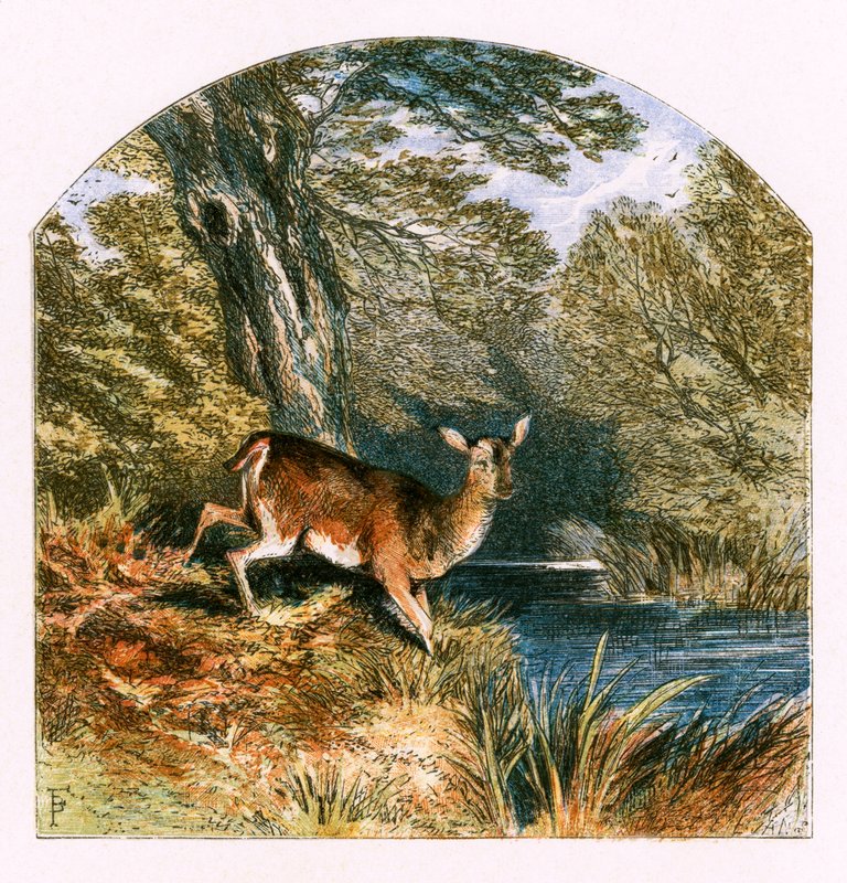 Ilustração para &39;O cativeiro&39; de Myles Birket Foster