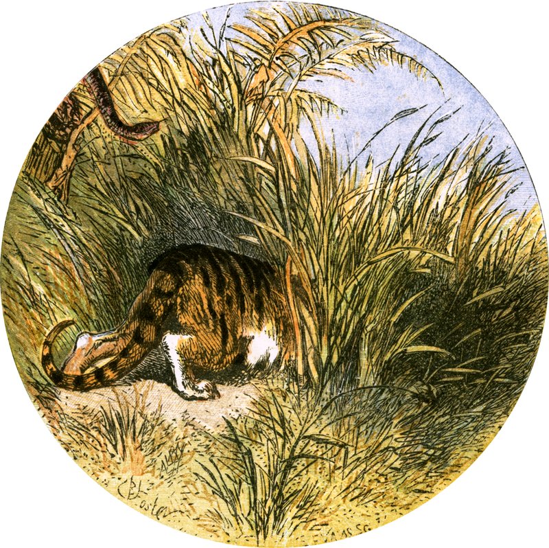 Ilustração para &39;The Deserted Village&39; de Myles Birket Foster