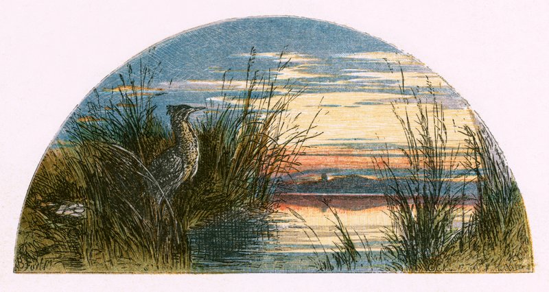 Ilustração para &39;The Deserted Village&39; de Myles Birket Foster