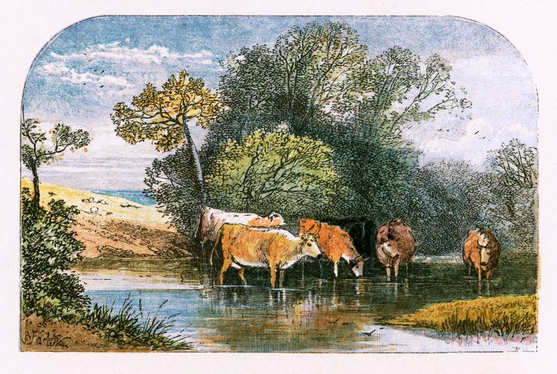 Ilustração para &39;The Deserted Village&39; de Myles Birket Foster