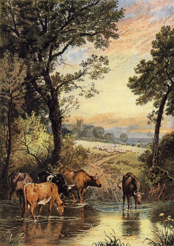 Noite de Verão de Myles Birket Foster