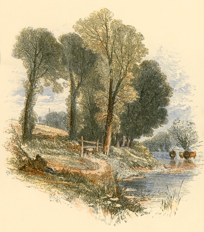 Passeios de domingo de Myles Birket Foster
