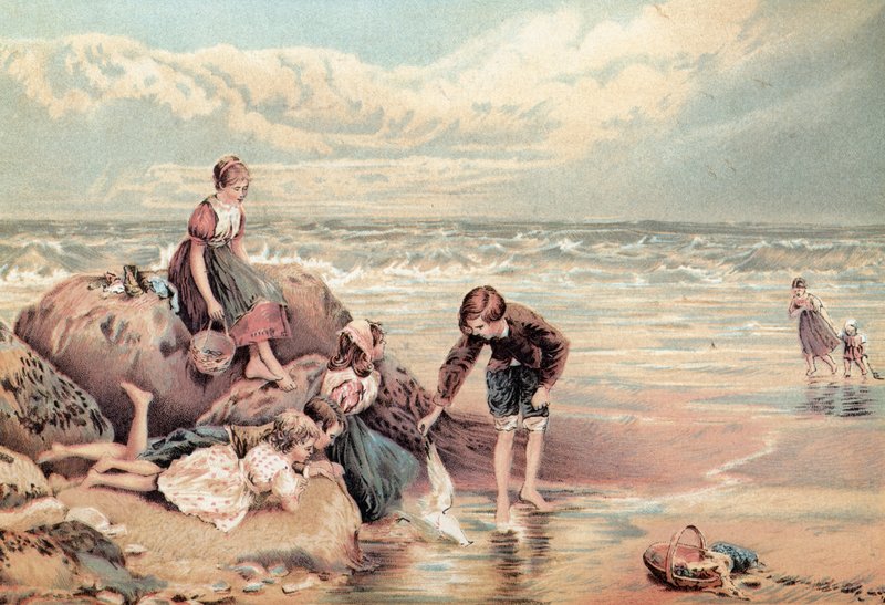 O Mar Morto-Pássaro de Myles Birket Foster