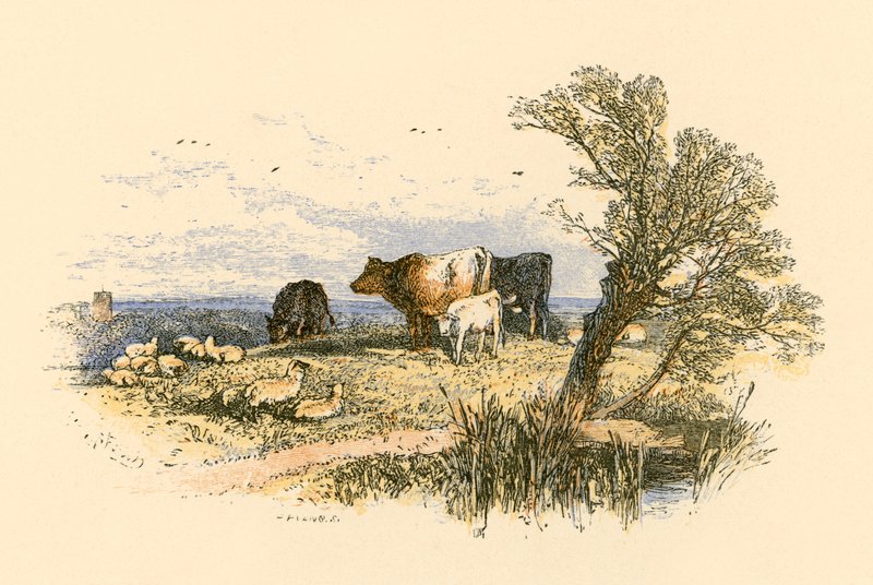 Os sinos da igreja de Myles Birket Foster