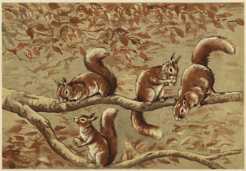 Um grupo familiar (litho) de N. Parker