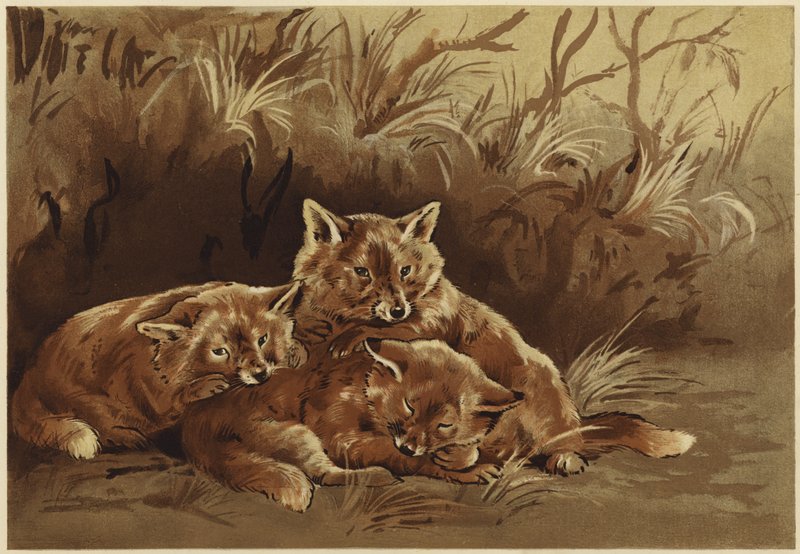 O covil dos ladrões (litho) de N. Parker