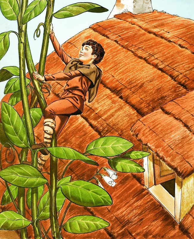 Jack e o Pé de Feijão de Nadir Quinto