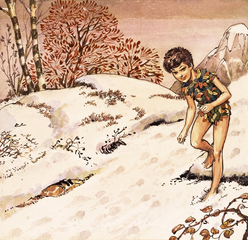 Peter Pan de Nadir Quinto