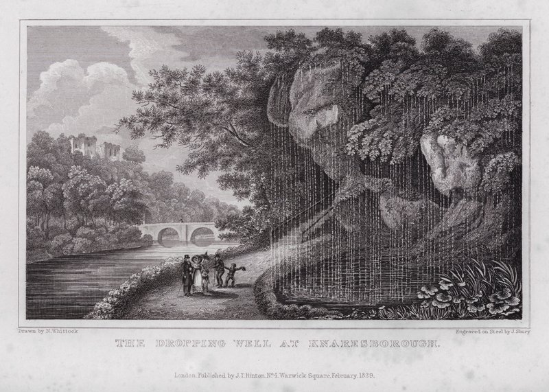 O Poço de Gota em Knaresborough (gravura) de Nathaniel (after) Whittock