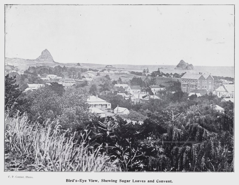 New Plymouth, Nova Zelândia: Bird