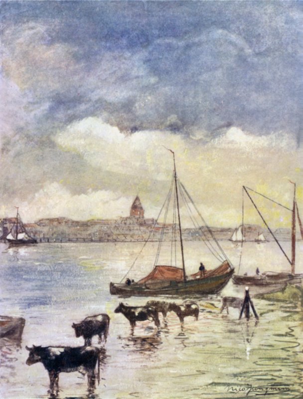 O rio Ysel de Nico Jungman