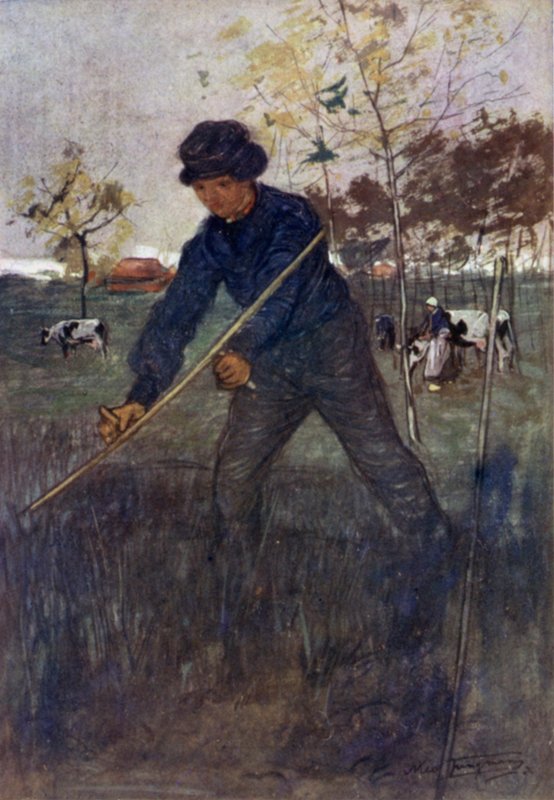 O cortador de relva (cor litho) de Nico Jungman