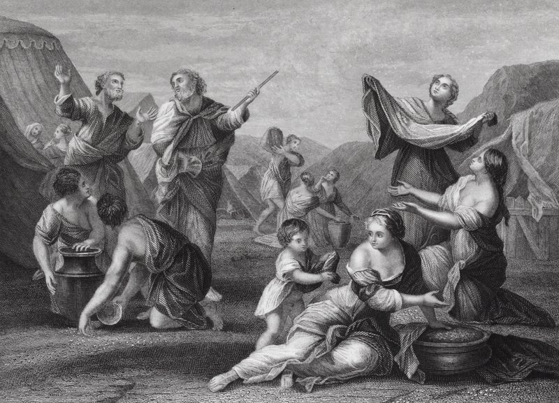 A queda do maná, Êxodo, cap. 16, versículos 14 e 24 (gravura) de Nicolas (after) Poussin