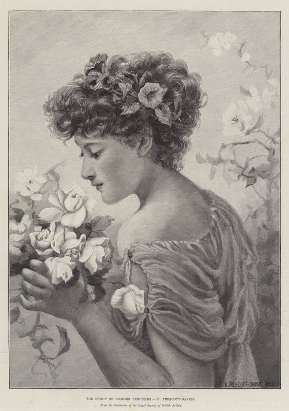 O Espírito dos Perfumes de Verão de Norman Prescott Davies