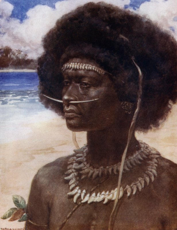 A New Guinea Dandy (cor litho) de Norman Hardy