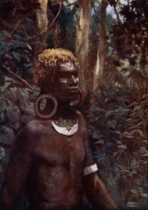 A Rubiana Native, Ilhas Salomão (cor litho) de Norman Hardy
