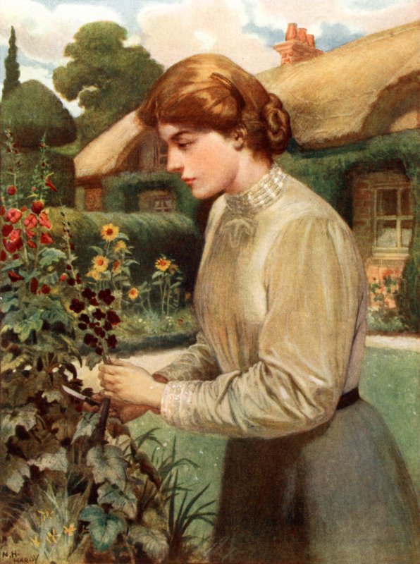 Uma garota inglesa de Norman Hardy