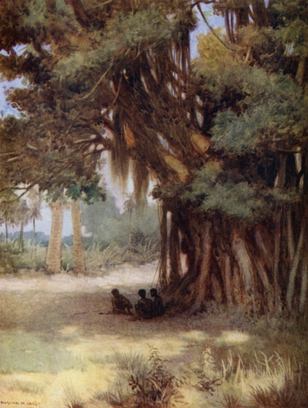 Sob uma Banyan Tree, Ilha Malekula, Novas Hébridas (cor litho) de Norman Hardy