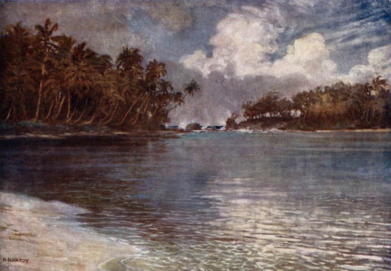 Por Recife e Palma (cor litho) de Norman Hardy
