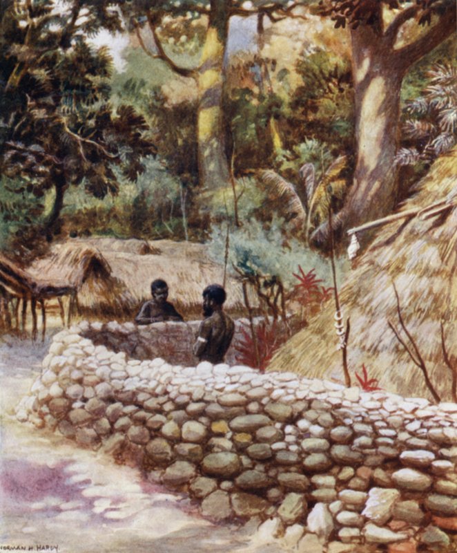 Casa do Chefe, Ambryn, Novas Hébridas (cor litho) de Norman Hardy