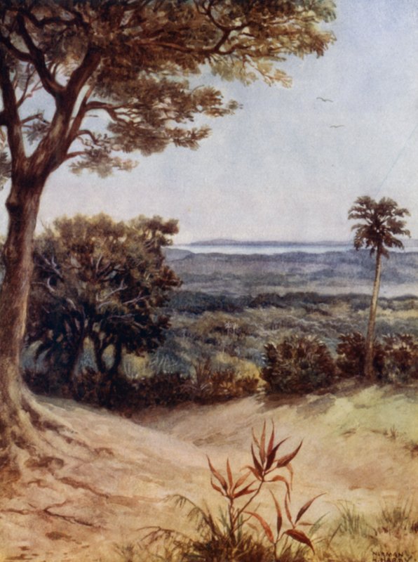 Havannah Harbour, Rathmoy, New Hebrides (cor litho) de Norman Hardy