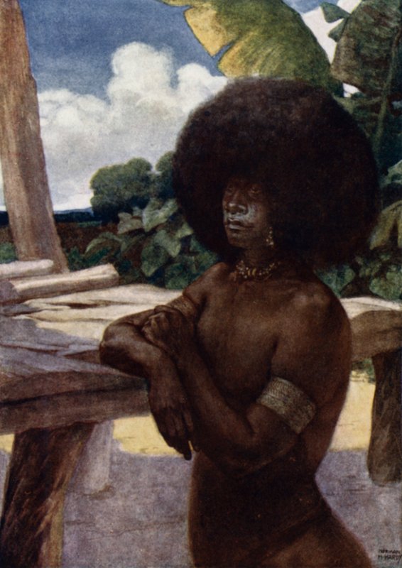 Nativo da Nova Guiné Britânica, mostrando a forma de usar o cabelo (cor litho) de Norman Hardy