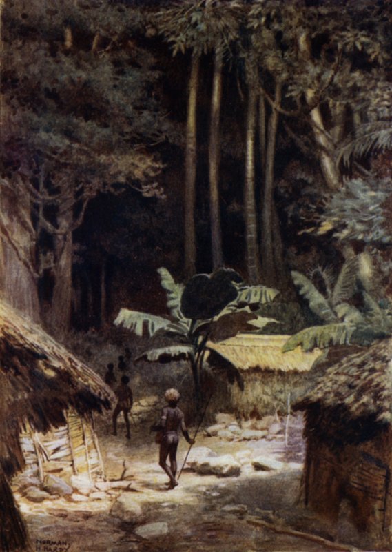 À margem de uma floresta primitiva, Ilhas Salomão (cor litho) de Norman Hardy