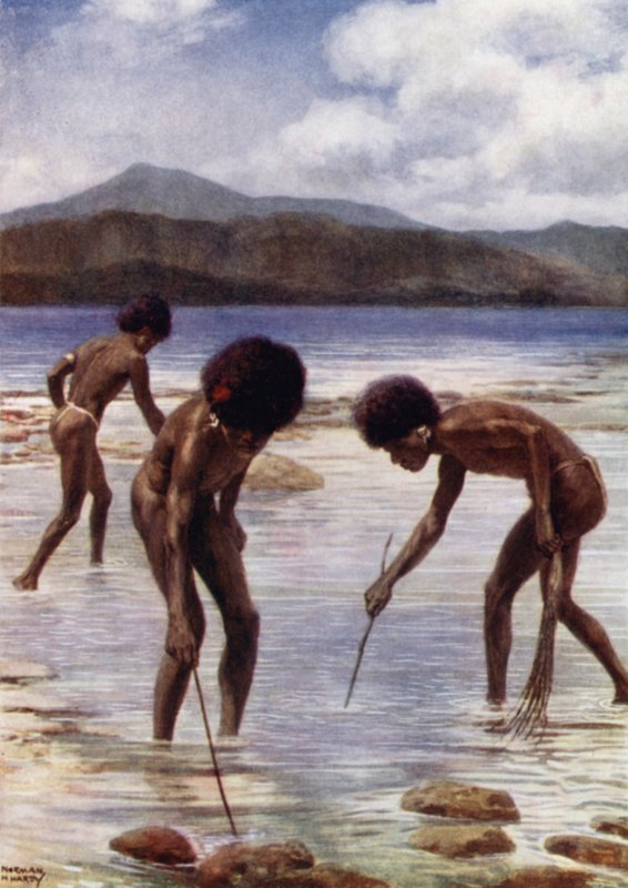 Procura de pequenos polvos no recife na maré baixa, Samari, Nova Guiné Britânica (cor litho) de Norman Hardy