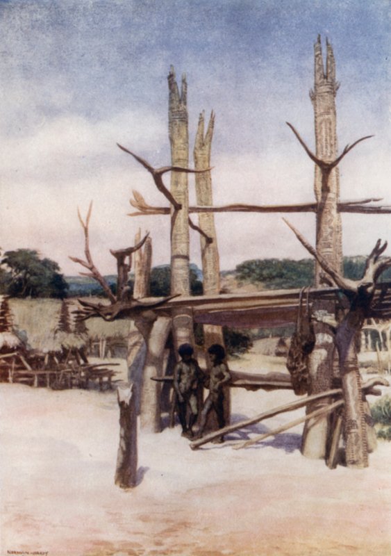 O Dubu em Rigo, Nova Guiné Britânica (cor litho) de Norman Hardy