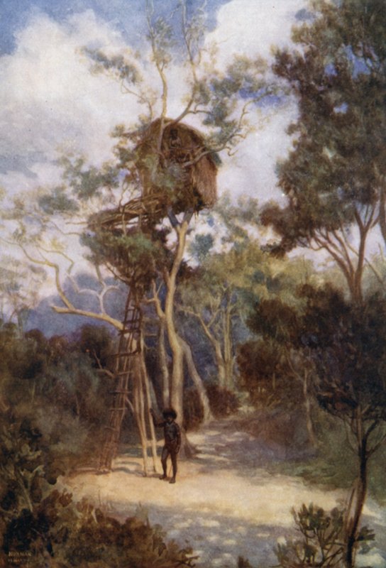Tree House na Nova Guiné Britânica (cor litho) de Norman Hardy