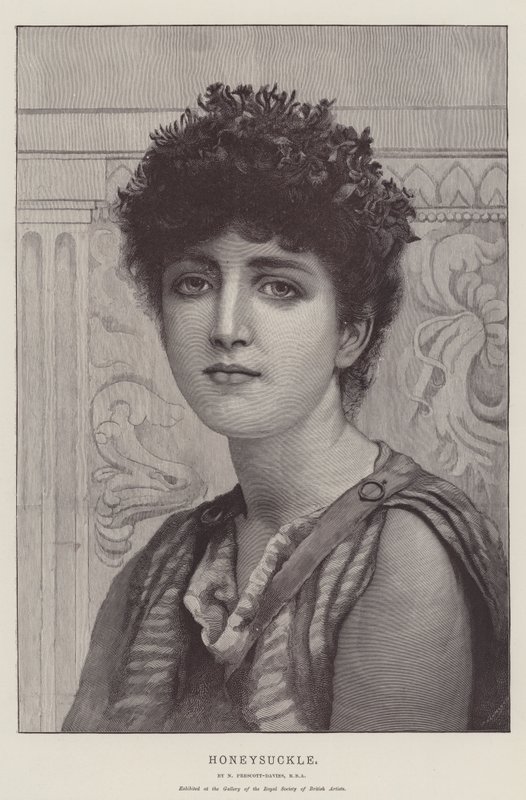 Madressilva de Norman Prescott Davies