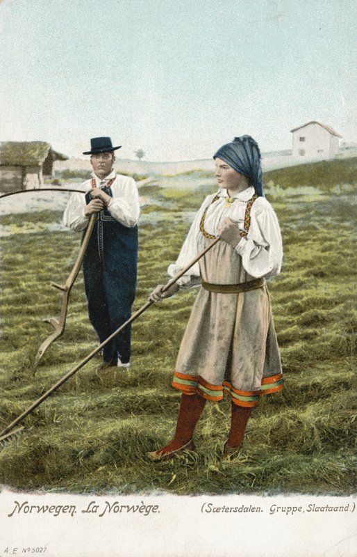 Grupo de camponeses, Setesdal, Noruega de Norwegian Photographer