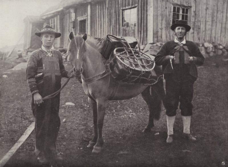 Highlanders de Saetersdalen com Pack-Horse de Norwegian Photographer