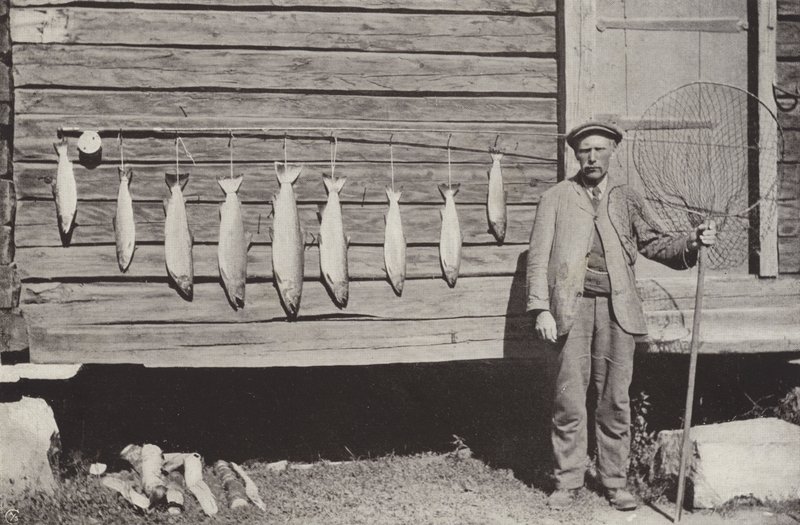 Pesca de truta de Norwegian Photographer