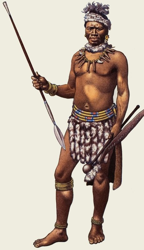 Guerreiro Zulu de Pat (1907-95) Nicolle