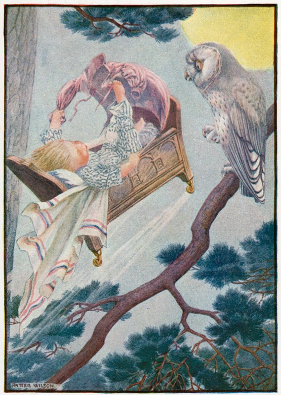 Pequena volta de macaco (cor litho) de Patten Wilson