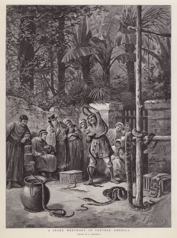 Comerciante de serpentes na América Central (litho) de Paul Frenzeny