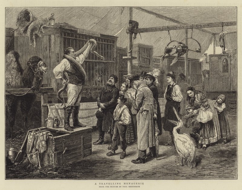 Um zoológico itinerante de Paul Friedrich Meyerheim