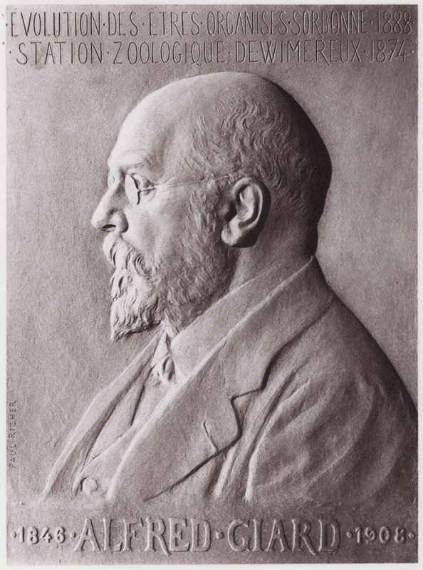 Alfred Giard (1846-1908), zoólogo, retrato (litho) de Paul Marie Louis Pierre Richer