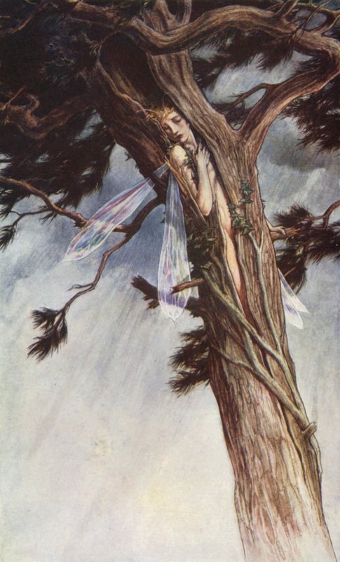 A Tempestade de William Shakespeare, Ato I, Cena 2 (lito colorido) de Paul Vincent Woodroffe