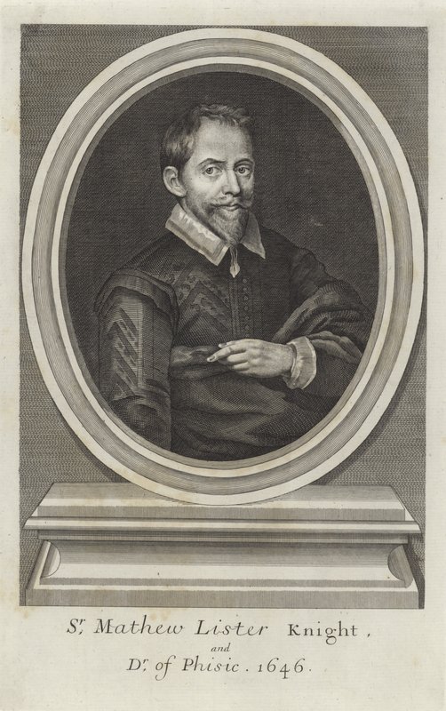 Sir Matthew Lister de Paul van Somer
