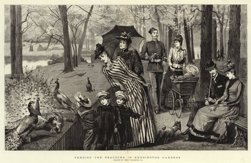 Alimentando os pavões em Kensington Gardens de Percy Macquoid