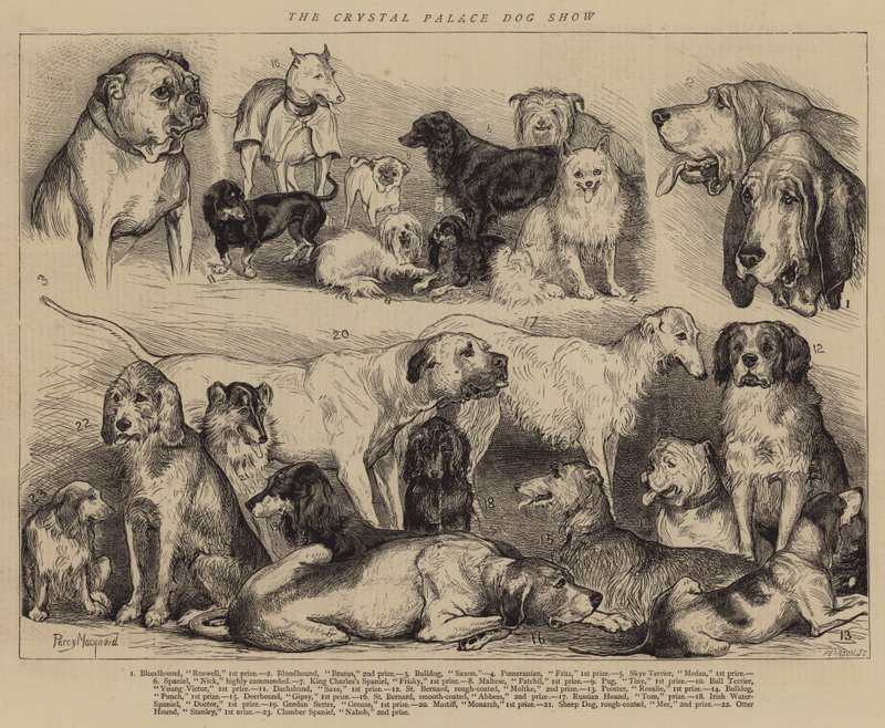 O cão de cristal mostra o palácio de Percy Macquoid