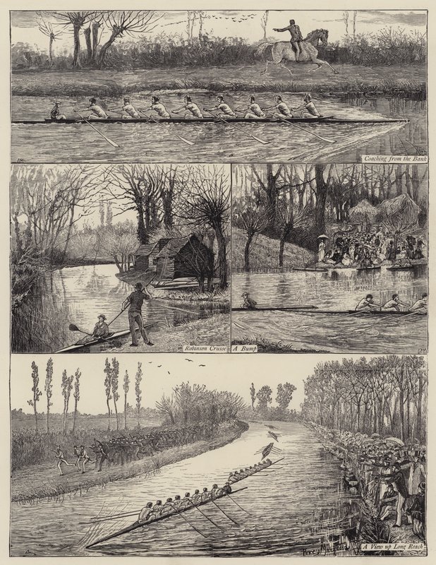 A corrida de barcos da universidade de Percy Macquoid